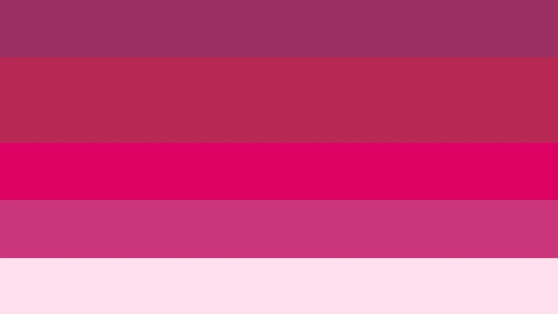 Colour blocks lined in a row, different shades of deep pinks.