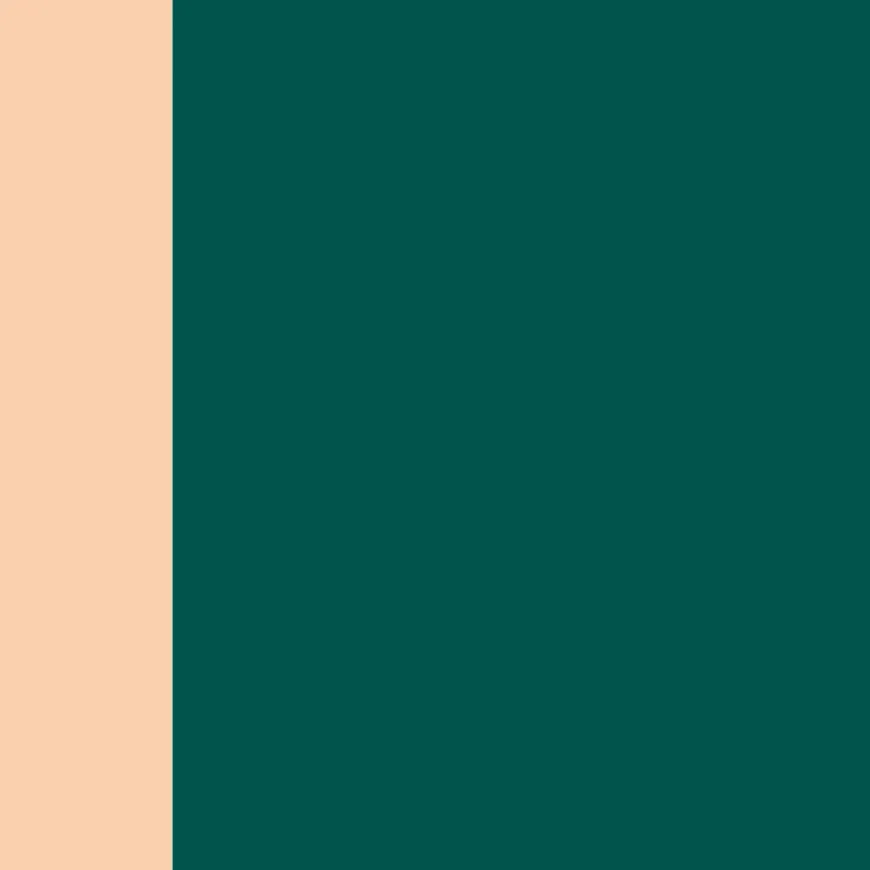 Blocks of colour one peach, one dark green