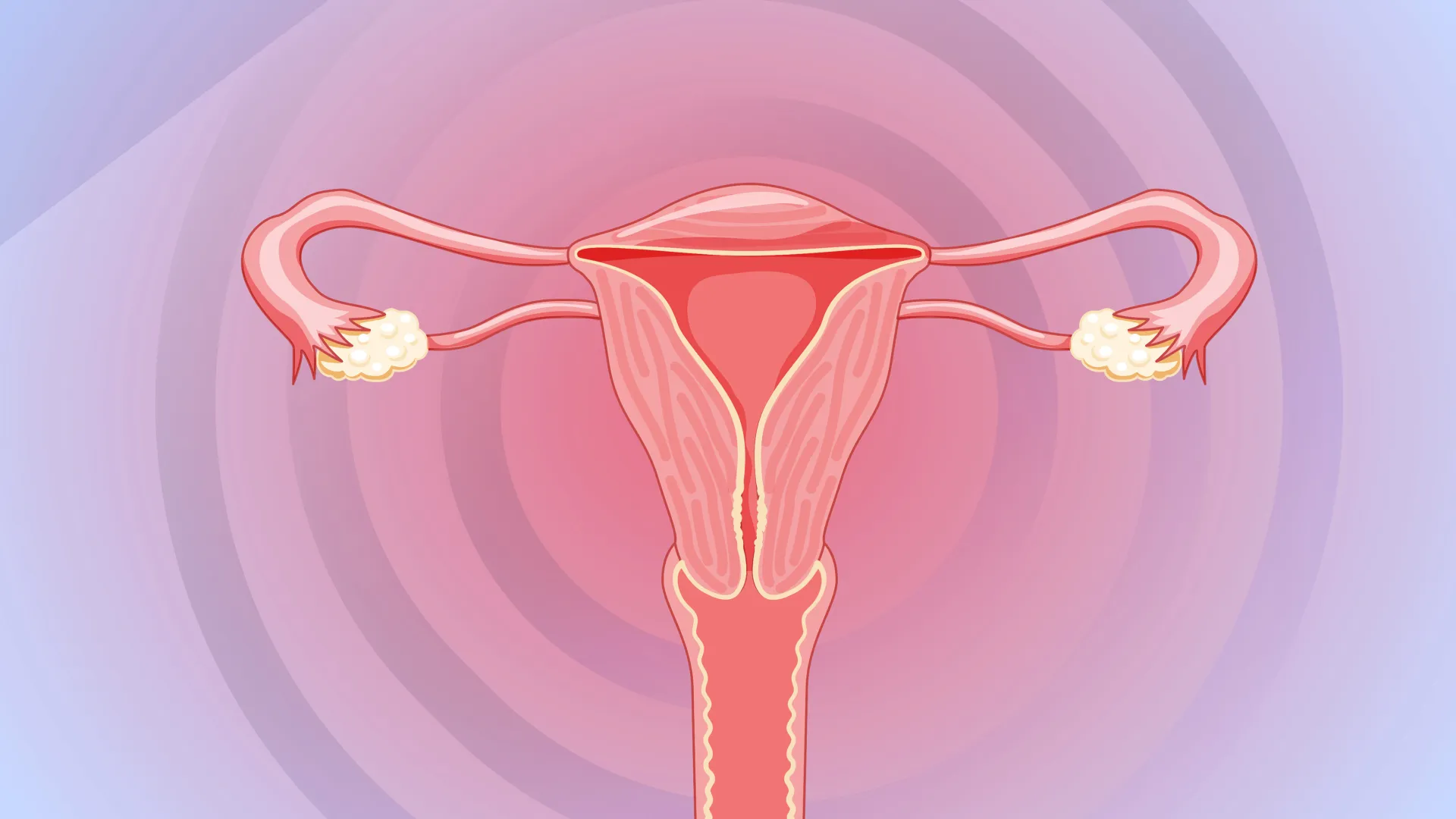Illustration of a uterus on a circular radiated gradient background.