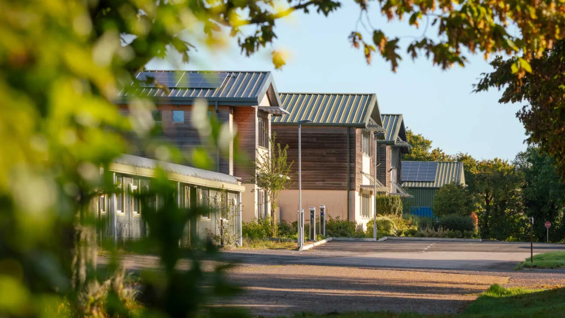 Modern eco-friendly offices with solar panels lining a quiet, tree-framed residential street