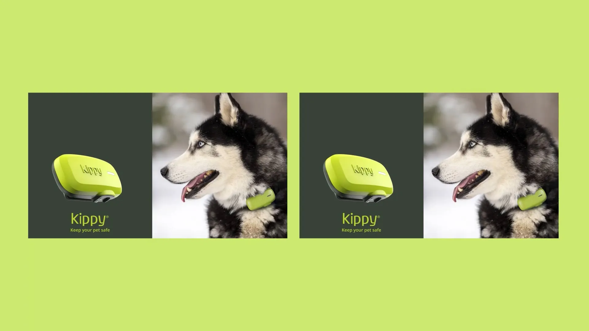 Kippy pet gps tracker displayed next to a husky wearing the tracker.