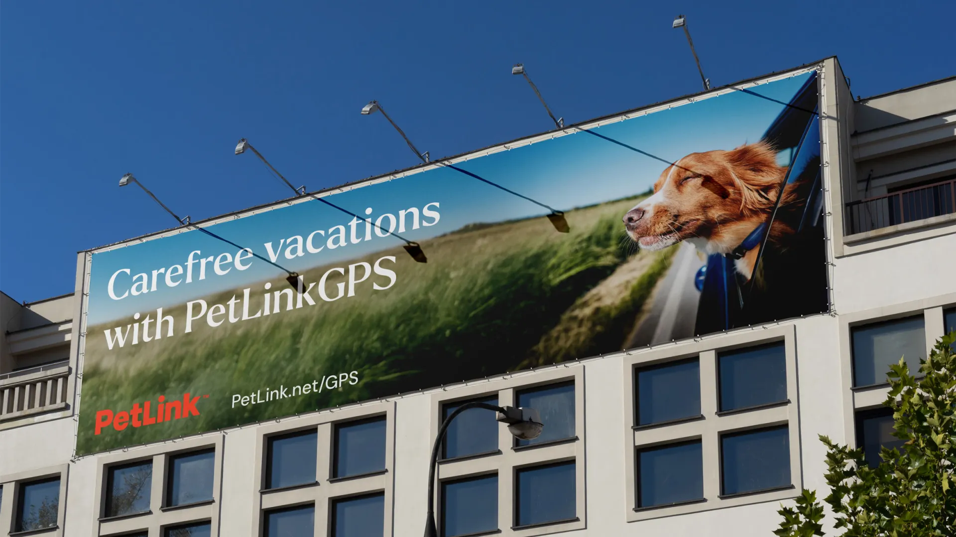 Carefree vacations with PetLinkGPS advertisement billboard with happy dog sticking head out of a car window background image.