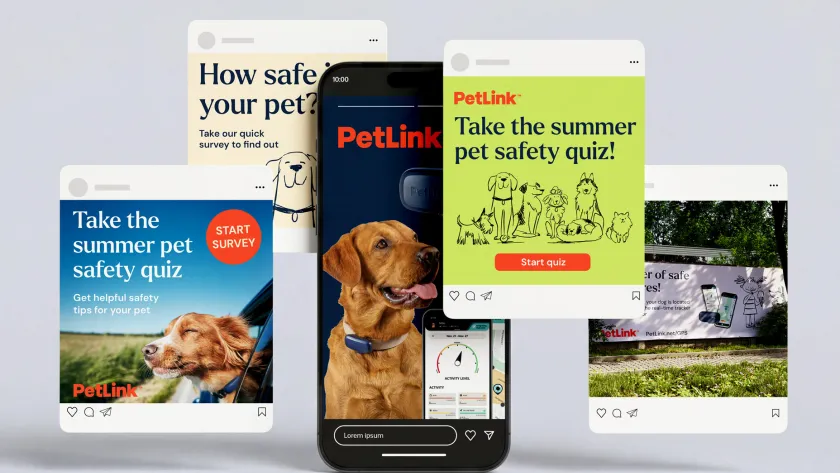 Mobile phone mockup and floating social media posts for PetLink.
