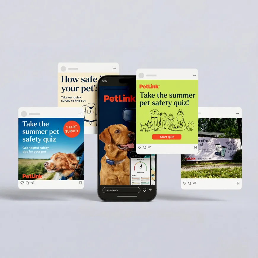 Mobile phone mockup and floating social media posts for PetLink.