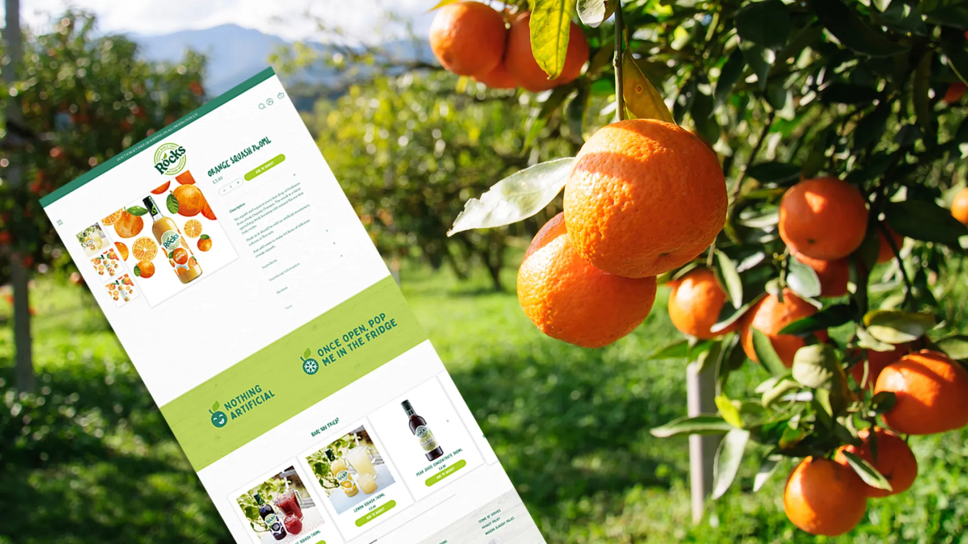 a long render of a webpage, in an orange orchard