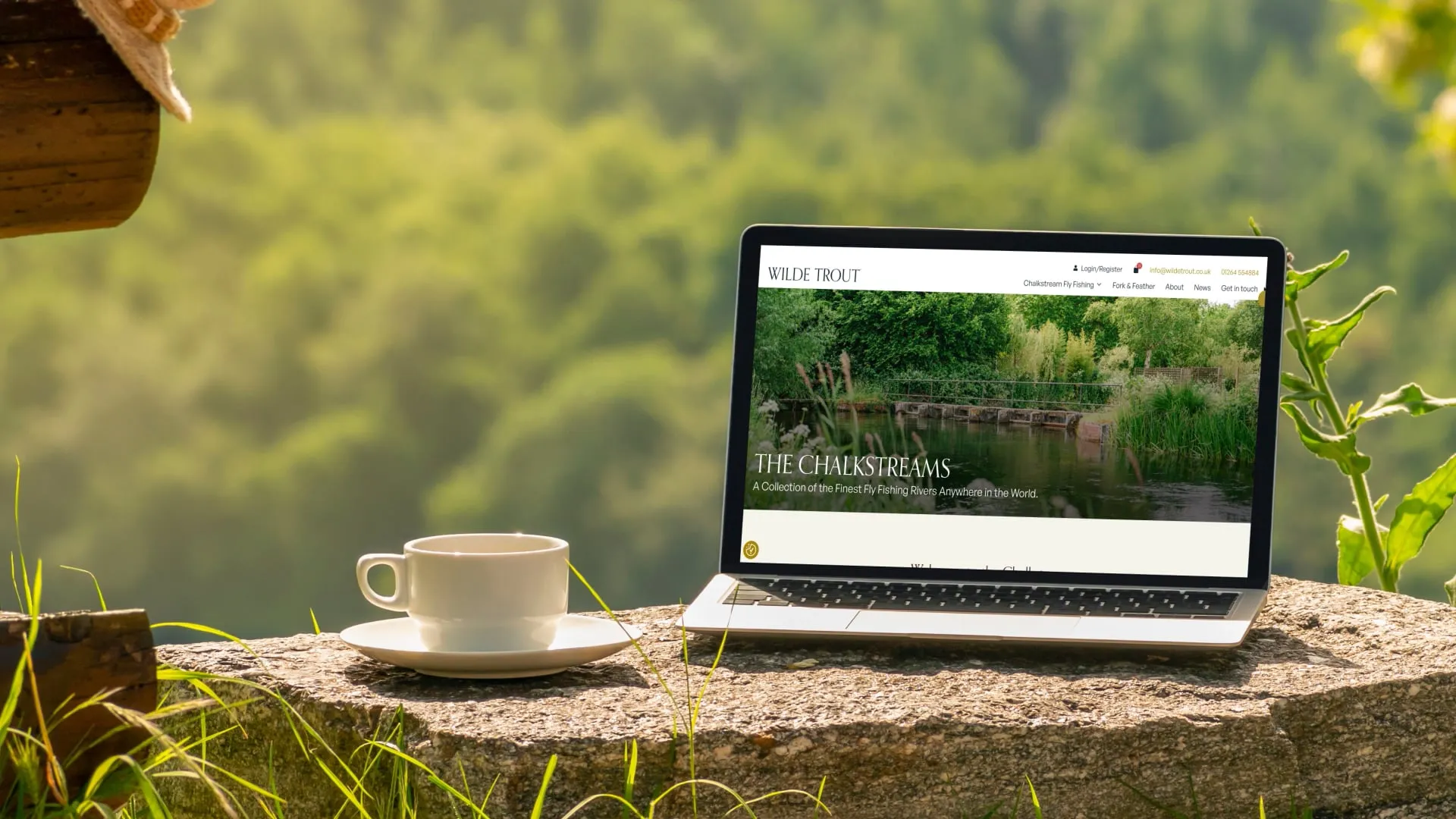 Laptop perched on a flat rock with a cup and saucer to the left of it.
