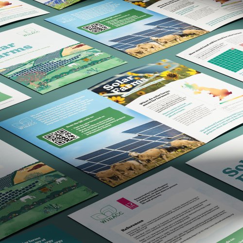 Print design