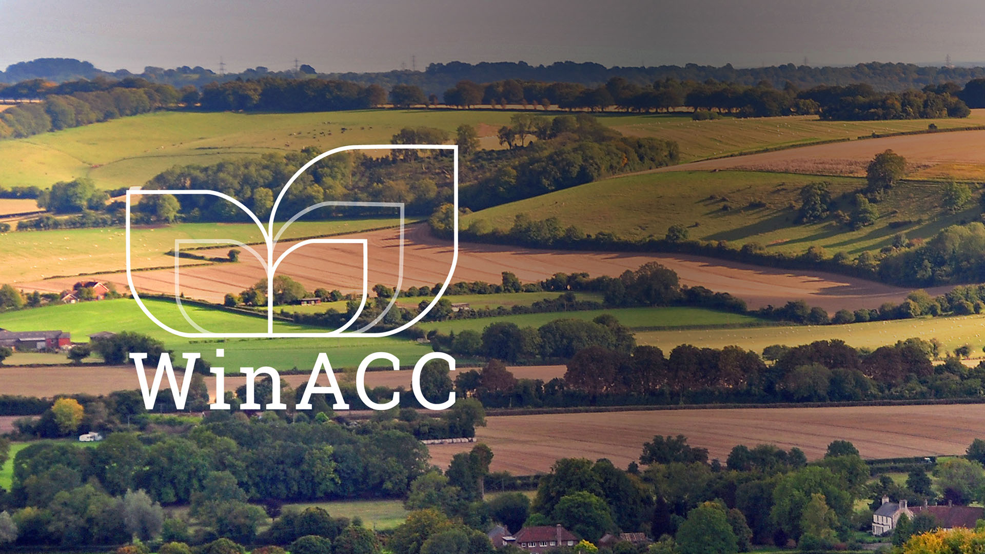 WinAcc Logo with Background